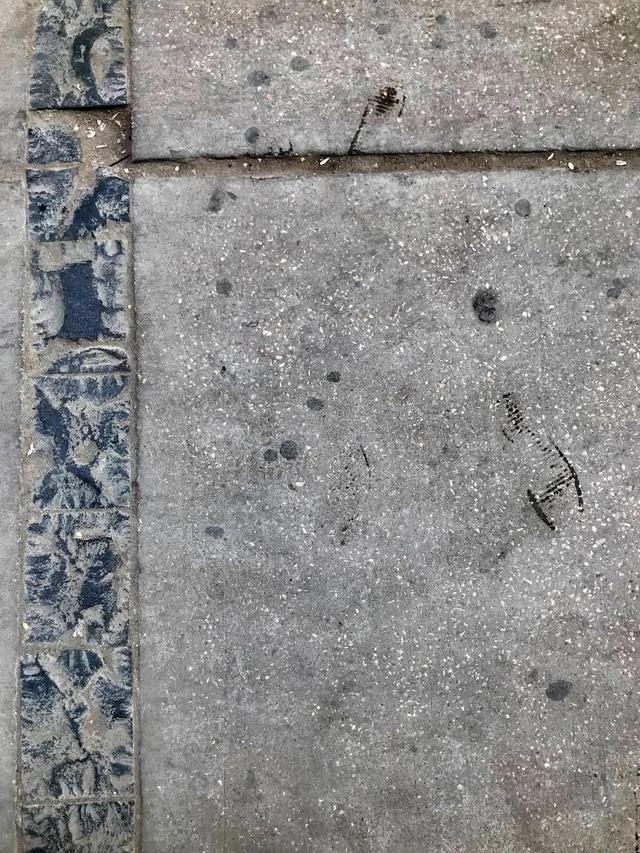 Floor texture in Orabi square, photograph 2023.